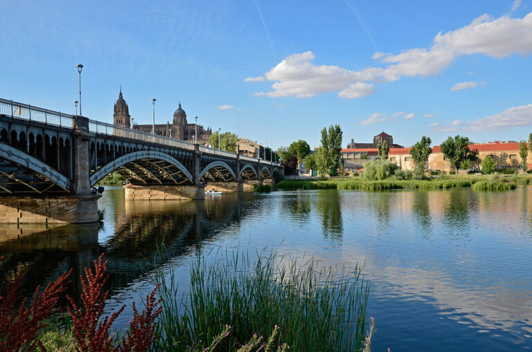 Imagen del Puente de Salamanca